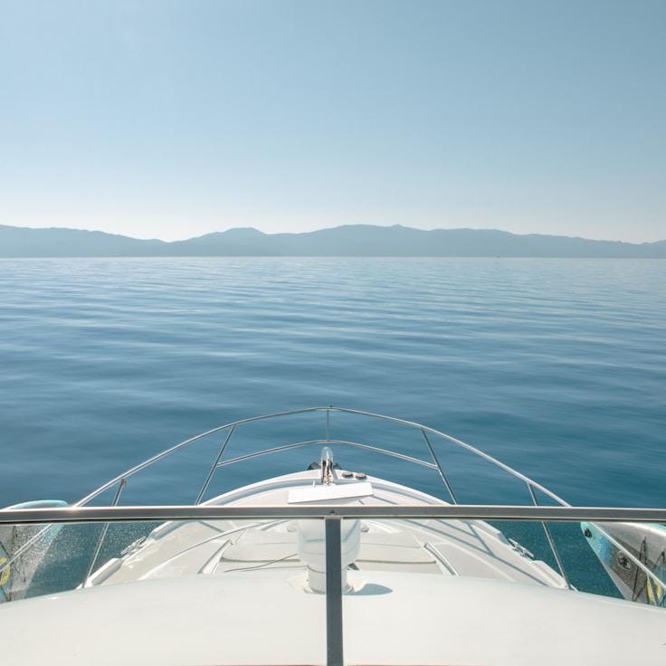 Marine lifestyle snapshot